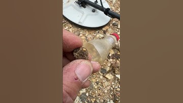 Lovely little GOLD NUGGET #gold #algoforce