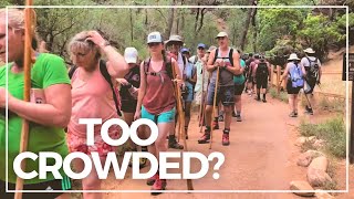 What every Zion Visitor Needs to Know About Crowds