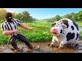Thief In The Farm He Steals The Cow Old Macdonald Police Officer Chase Arrest Thief In The Farm He Steals The Cow Old Macdonald Police Officer Chase Arrest