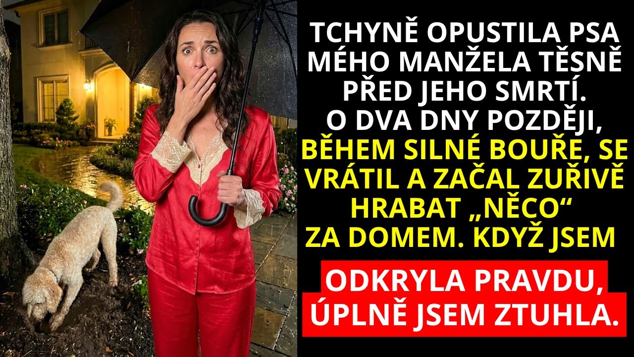 Zastavila jsem se u jabloně, když pes, kterého tchyně odvezla tři dny před Markovou smrtí, začal zběsile hrabat. V hlíně vyhrabal rezavou kovovou krabici. Uvnitř byly bankovní výpisy, smlouvy a...