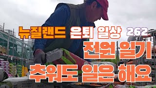 뉴질랜드는 지금 겨울, 한국 뉴스 그만 봐도.....되죠?ㅣ은퇴일상 ㅣ 👨‍🌾전원일기