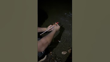 Blasting Rockets inside Water #experiment #shorts #diwali #rocket 🔥💥