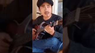 Download Lagu Hijau daun ilusi tak bertepi MP3