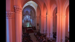 Музыка небесных сфер в Соборе на Малой Грузинской 25.06.2017