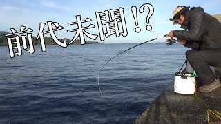 水深20mの堤防からイガイを落としたら意外な大物が！？