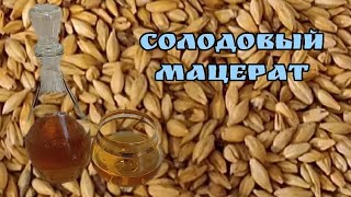 Солодовый мацерат