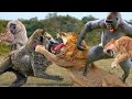 Baboons Kidnapped Lion Cubs And Heartbreaking Ending From Lion Family - Lion Vs Baboons