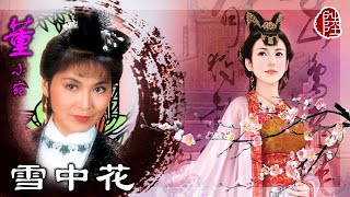 華娃【雪中花 1975】(歌詞MV)(1080p)(作曲：顧嘉煇)(填詞：盧國沾)電視劇《董小宛》插曲