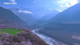 Spring scenery of the Yarlung Tsangpo Grand Canyon in SW China's Xizang