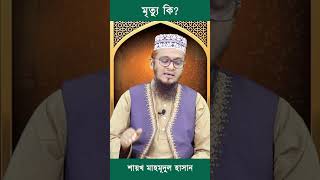 মৃত্যু কি | islamicshorts shortsvideo dowa  religion taqwa