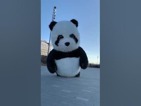 Огромная ПАНДА спешит на помощь - YouTube