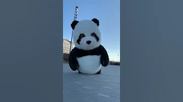 Огромная ПАНДА спешит на помощь 