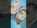 How do oysters make pearls 