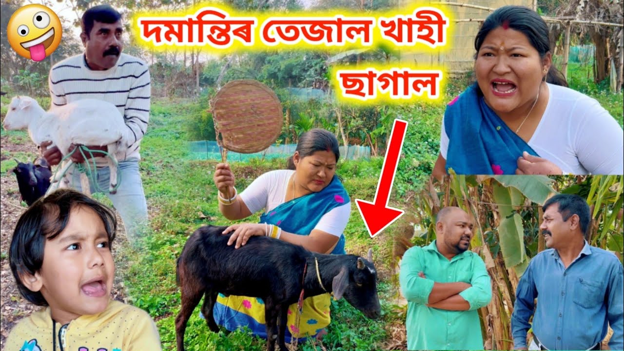 দমান্তিৰ তেজাল খাহী ছাগাল ।। Voice Assam Comedy || Assamese Funny Video || Suven Kai Comedy ||