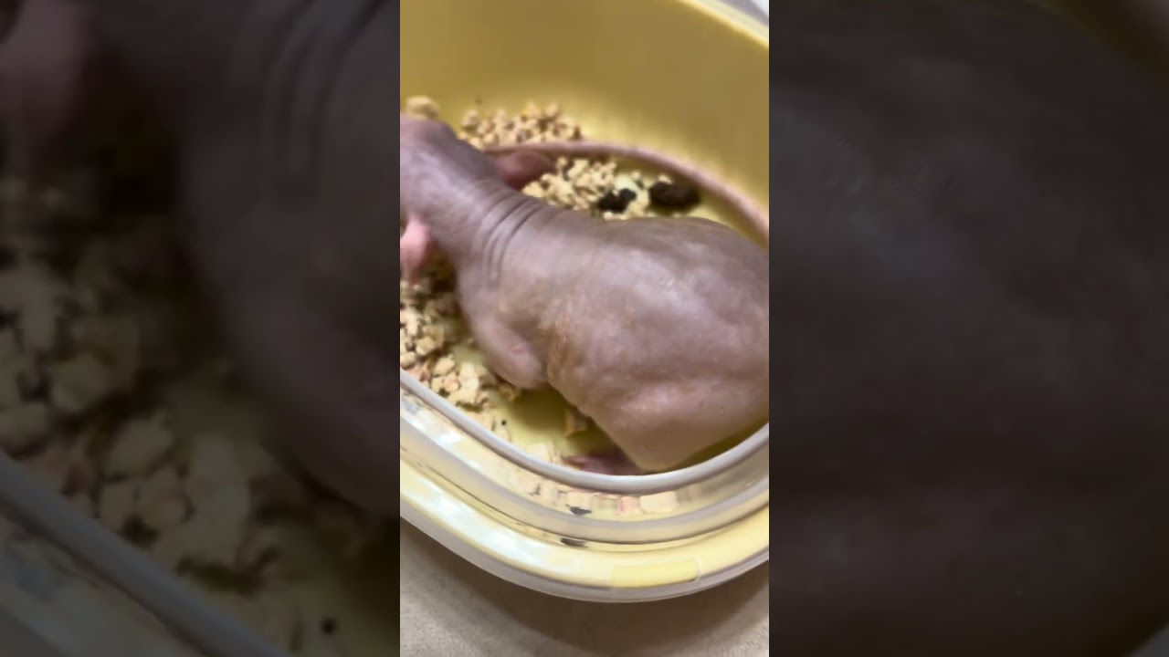 3 марта 2026 г.