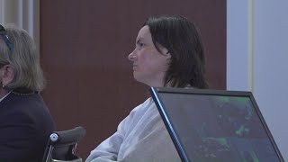 Judge hears arguments on mental health of Maine mom accused of killing son, pets
