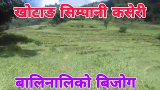 Khotang Simpani Kaseri || बेमौसमी हावा हुरि पानीले कृषिक पीडित