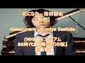 花になれ - 指田郁也[BGM]Hananinare - Fumiya Sashida(NHK BSプレミアム BS時代劇『陽だまりの樹』主題歌)