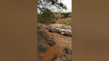 قَالَ إِنِّي عَبْدُ اللَّهِ آتَانِيَ الْكِتَابَ وَجَعَلَنِي نَبِيًّا (30) (القارئ: محمود الحصري) .