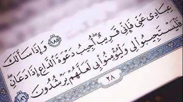 تلاوة رائعة للشيخ العفاسي | حالات واتس اب دينية❤❤❤