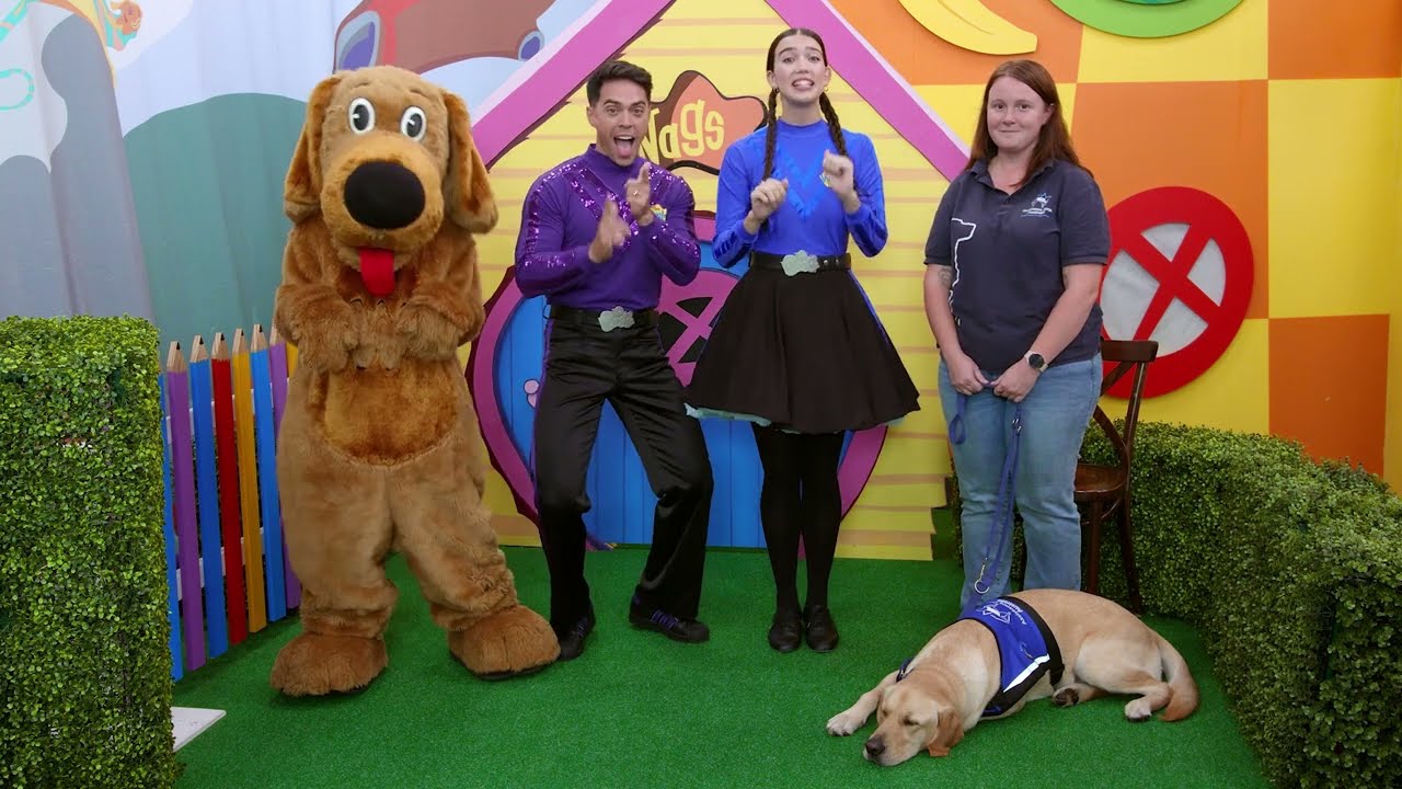 Paddy the Assistance Dog meets the Wiggles!