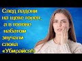 След ладони на щеке горел, а в голове набатом звучали слова «Убирайся!»