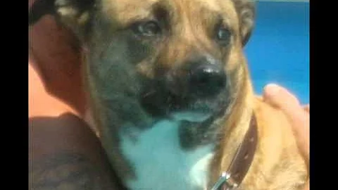 In Loving memory of our Baby girl Brandy Roth