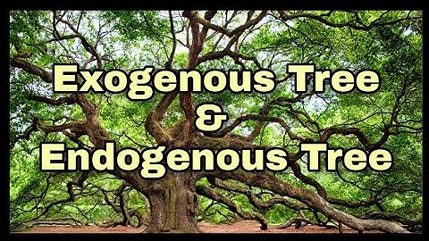Exogenous Tree & Endogenous Tree | DIFFERENT Types Of Timber | TIMBER Classification