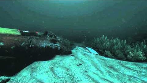 SOMA [Part 6] Site Delta & Robot Friends