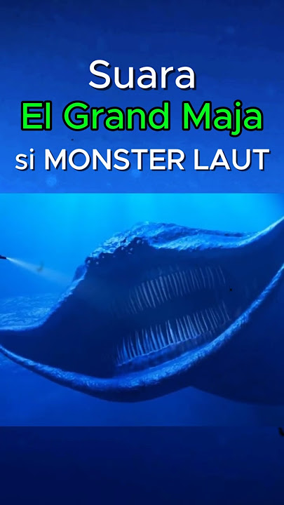 Mengungkap Rahasia Suara El Gran Maja #suaramonster #elgranmaja