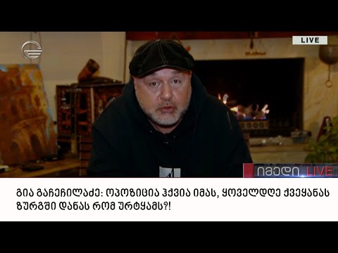 გია გაჩეჩილაძე: ოპოზიცია ჰქვია იმას, ყოველდღე ქვეყანას ზურგში დანას რომ ურტყამს?!