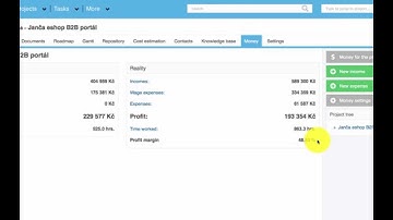 How to manage project finance budget in effective way - Easy Redmine (shown on real project)