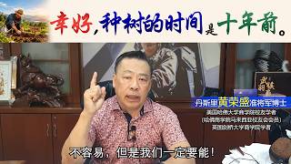 幸好，种树的时间是十年前。
