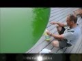 How To Clean a Green Pool