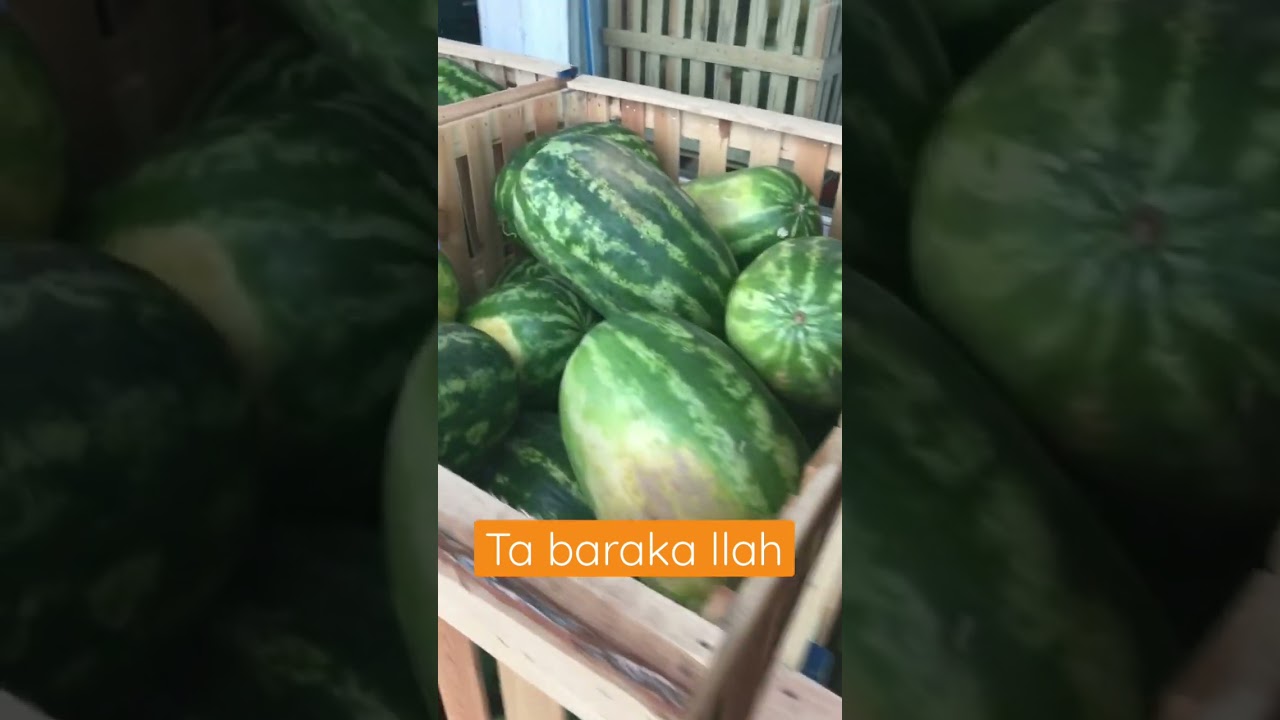 Amsterdam fruits shop 🍑🍉🍎🍇🍓🍒🍉🍈 YouTube