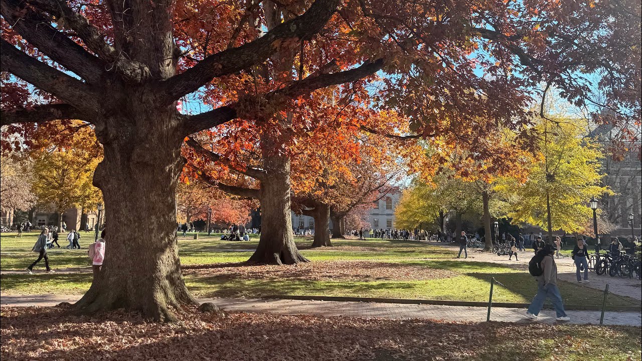 day in the life at unc chapel hill