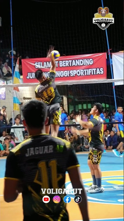 JASSEN MANJAKAN QUICKER TECTONA #volitarkamindo