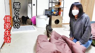 意味もなく噛みつくクロと新たな破壊神！ - YouTube