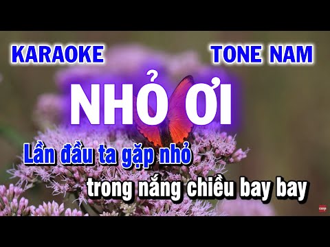 Karaoke Nhỏ Ơi | Nhạc Sống Tone Nam | Làng Hoa