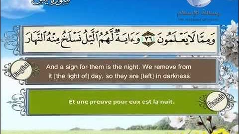 سورة يس مترجم بثلاثة لغات  العربية و الانجليزية و الفرنسية  e
