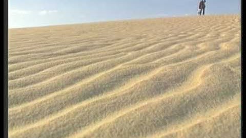 CongtacXaHoi 2 YouTube