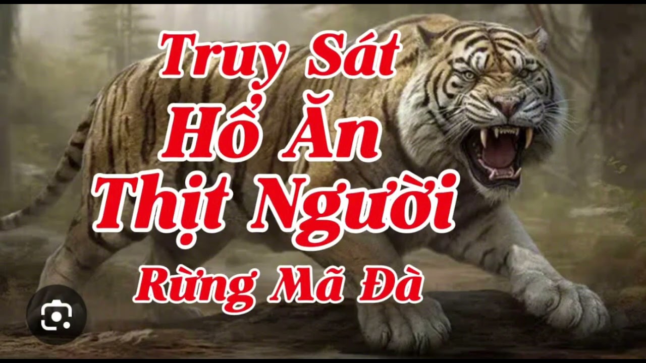 TRUY SÁT HỔ ĂN THỊT NGƯỜI RỪNG MÃ ĐÀ | Lê Anh diễn đọc