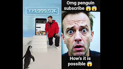 Can I teach a Penguin To Subscribe #ytshorts #viral #trendingshorts #trending #mrbeast
