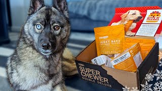 My Husky Puppies FIRST Super Chewer BARK Box Unboxing!