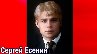 Стихи. Есенин. Нивы сжаты, рощи голы 🍁