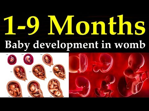 Month by Month baby development || 1-9 
