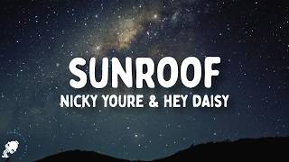 Nicky Youre, hey daisy - Sunroof (Lyrics)