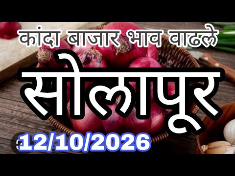 सोलापूर जिल्हा कांदा बाजार भाव वाढले,kanda bajar bhav today, सोलापूर कांदा मार्केट आजचे, सोलापूर
