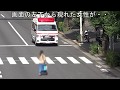 緊急走行の救急車が接近しているのに平然と直前を渡り続ける女性