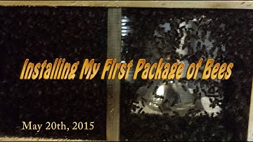Installing My First Package of Bees